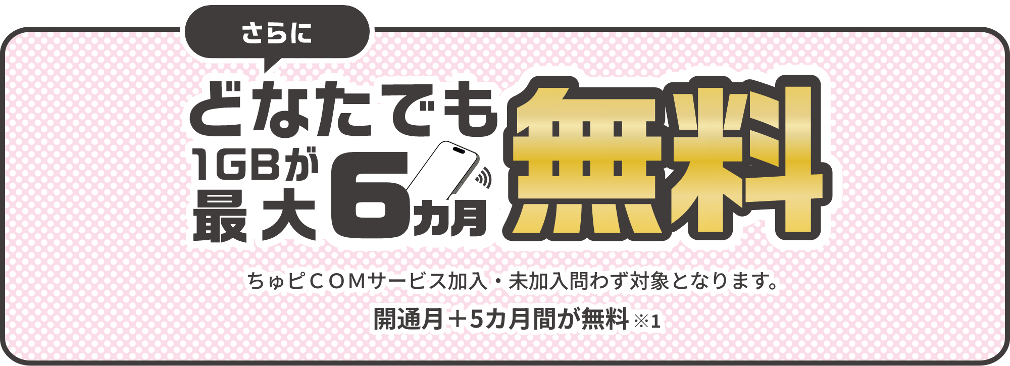 さらにどなたでも1GBが最大6ヵ月無料ちゅピＣＯＭサービス加入・未加入問わず対象となります。開通月＋5カ月間が無料※1